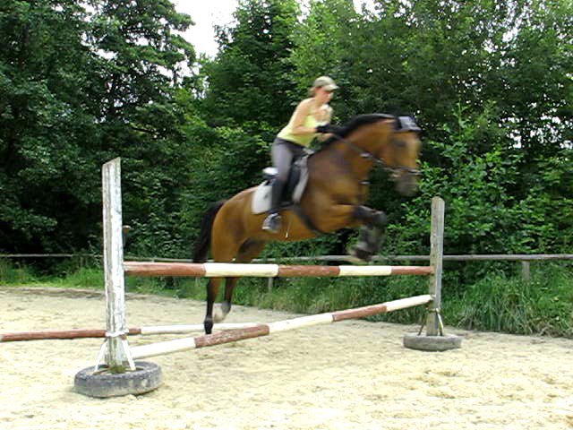 bscap0003.jpg