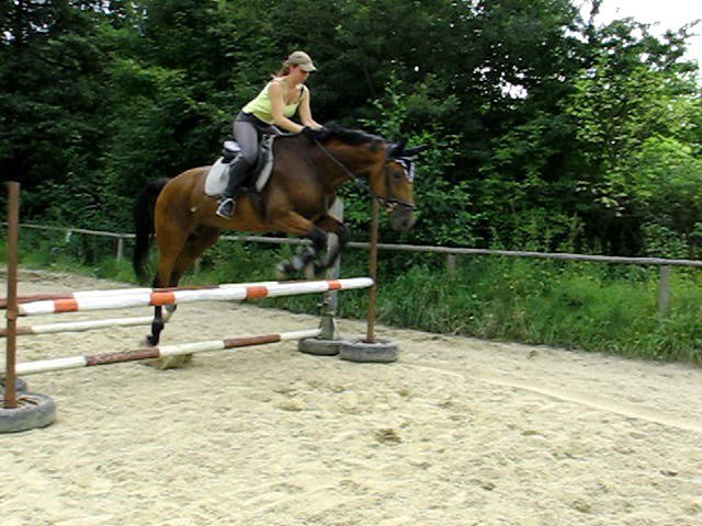 bscap0004.jpg