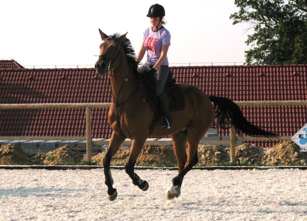 IMG_1701-před.JPG