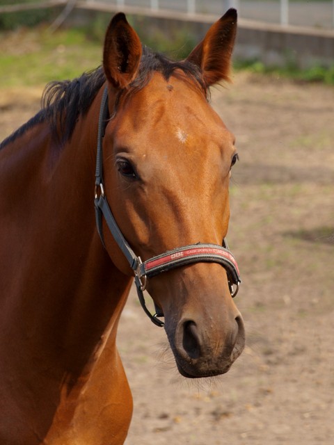 září 2010..