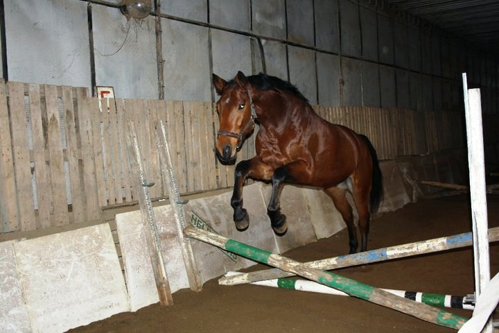 hala Děčín 29.12.2010.