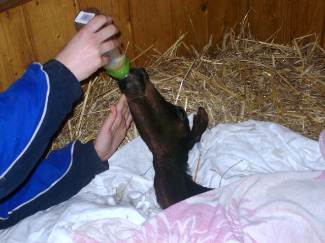 100_2441.JPG